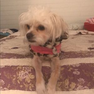 Meet your Posher, Joyce